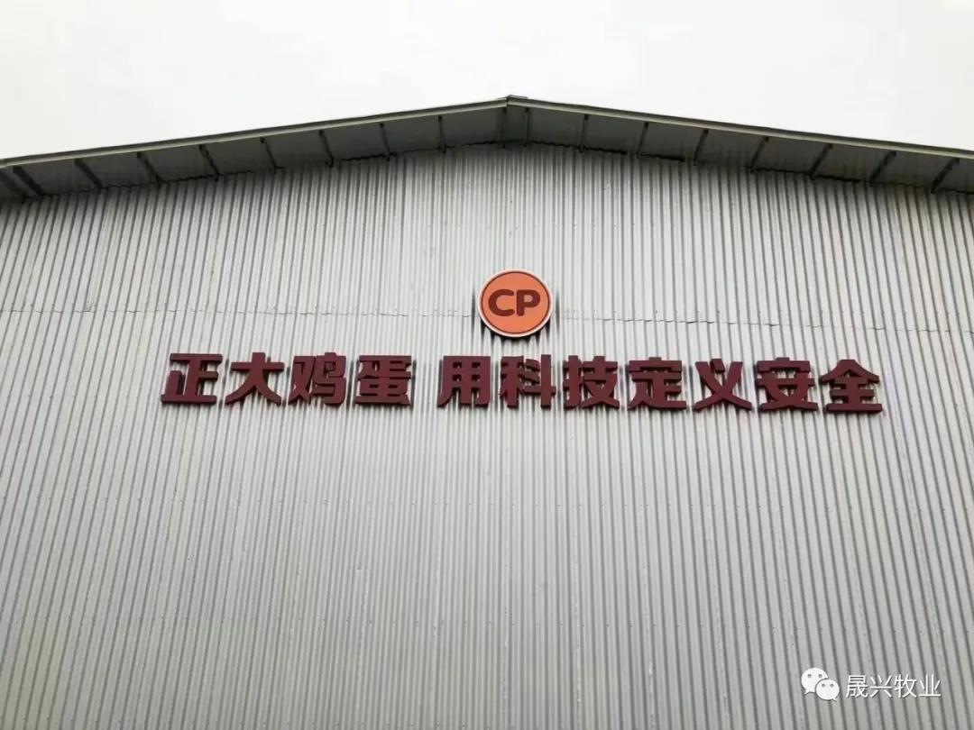 腾博会·诚信为本,专业效劳_官方网站