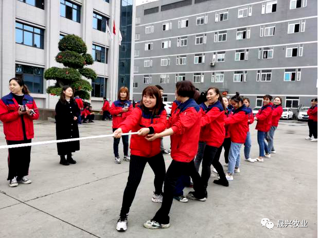 腾博会·诚信为本,专业效劳_官方网站