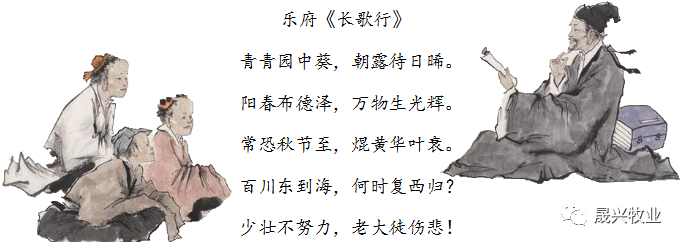 腾博会·诚信为本,专业效劳_官方网站