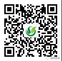 腾博会·诚信为本,专业效劳_官方网站