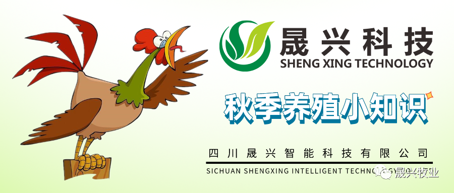 腾博会·诚信为本,专业效劳_官方网站