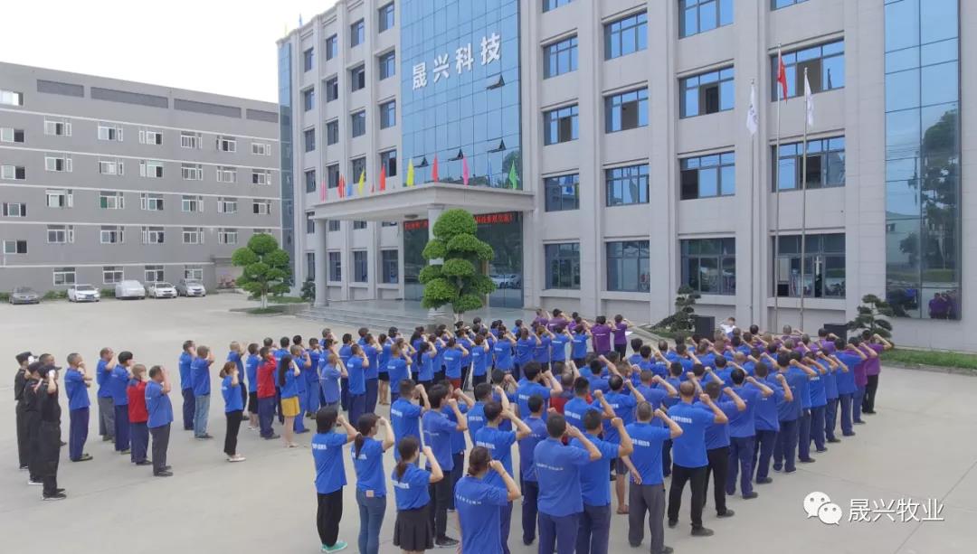养鸡装备