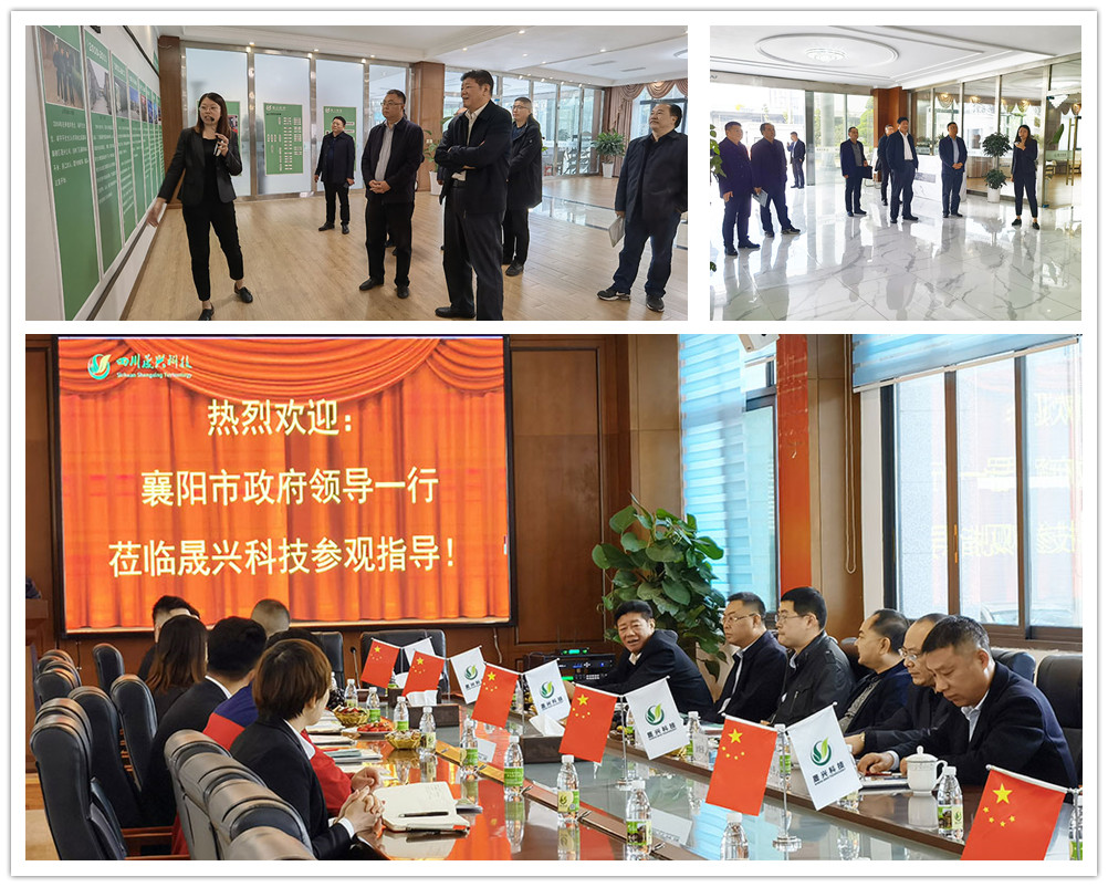 腾博会官方网站集团
