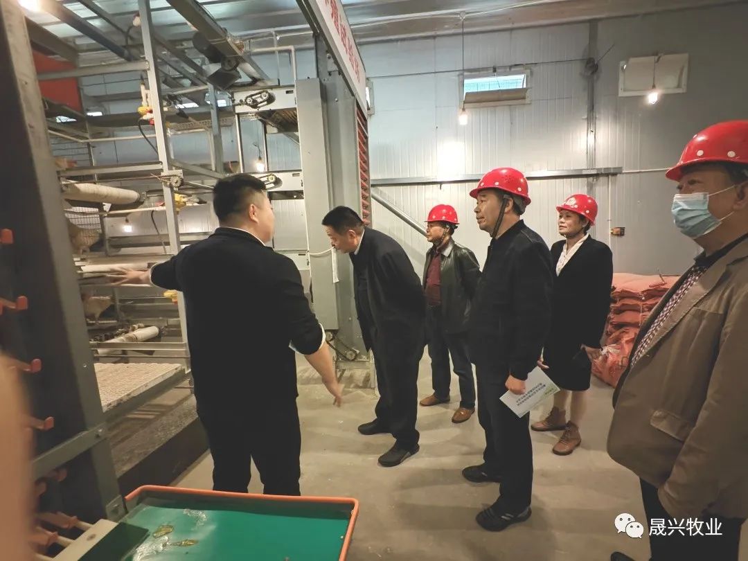 腾博会·诚信为本,专业效劳_官方网站