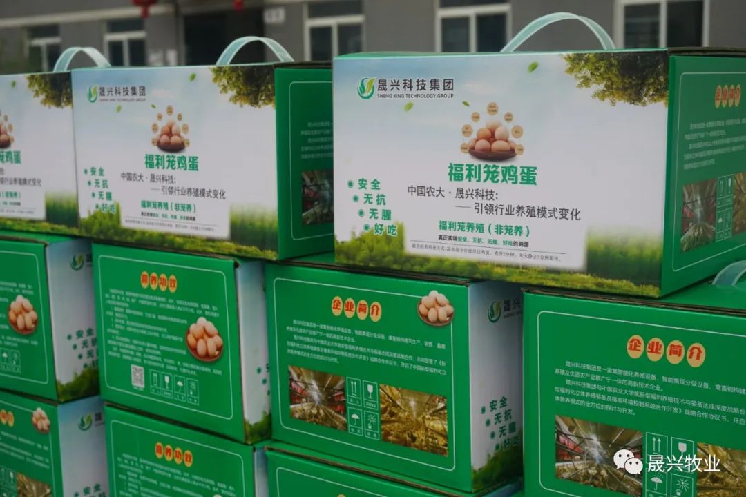 养鸡装备