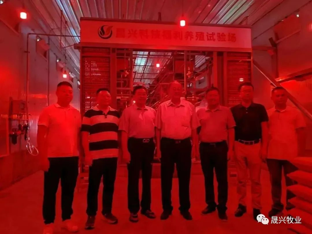 养鸡装备