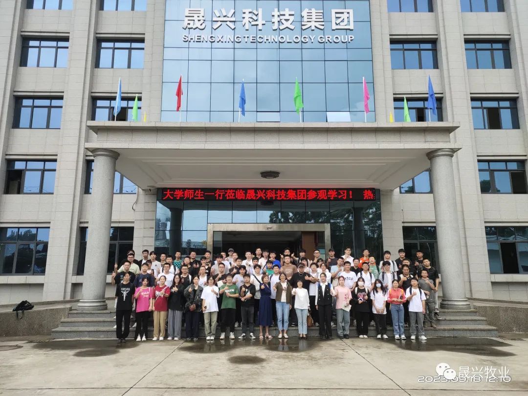 蛋鸡养殖装备