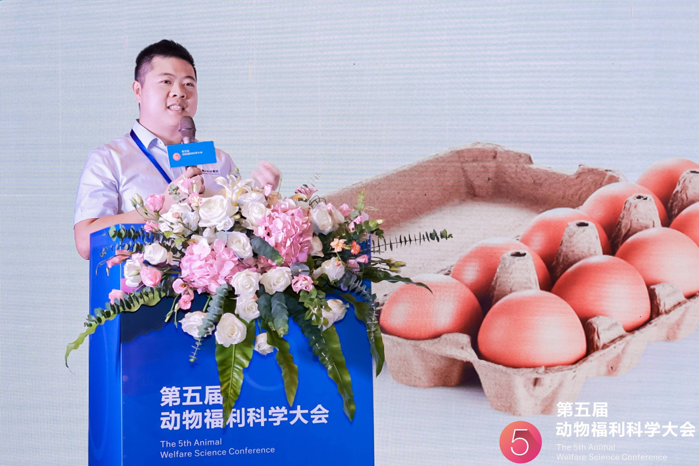 养鸡装备