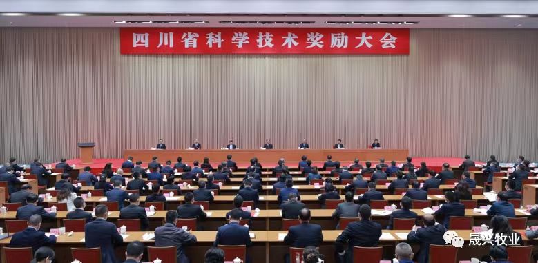 养鸡装备