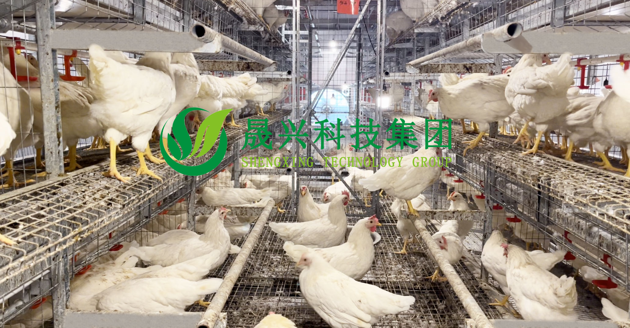 腾博会·诚信为本,专业效劳_官方网站