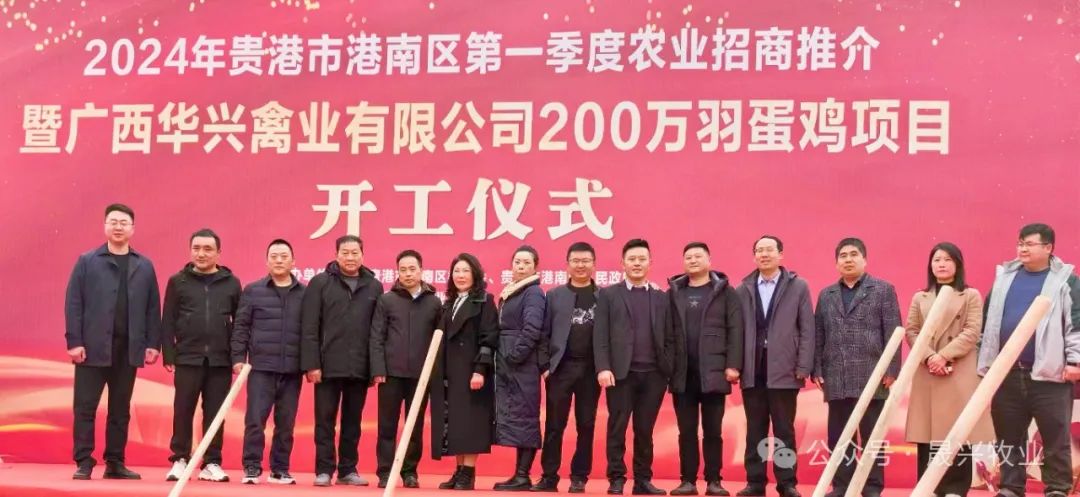 养鸡装备
