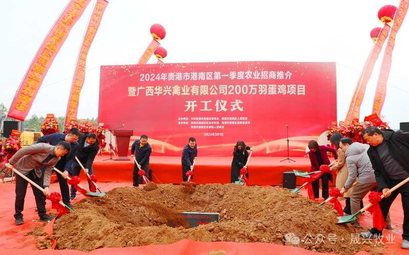 养鸡装备