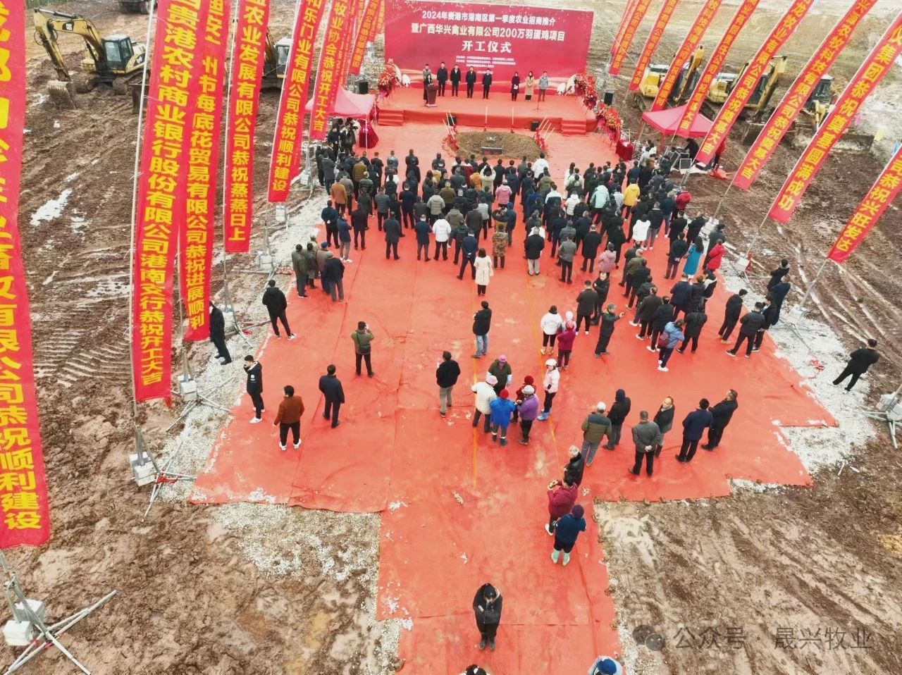 养鸡装备