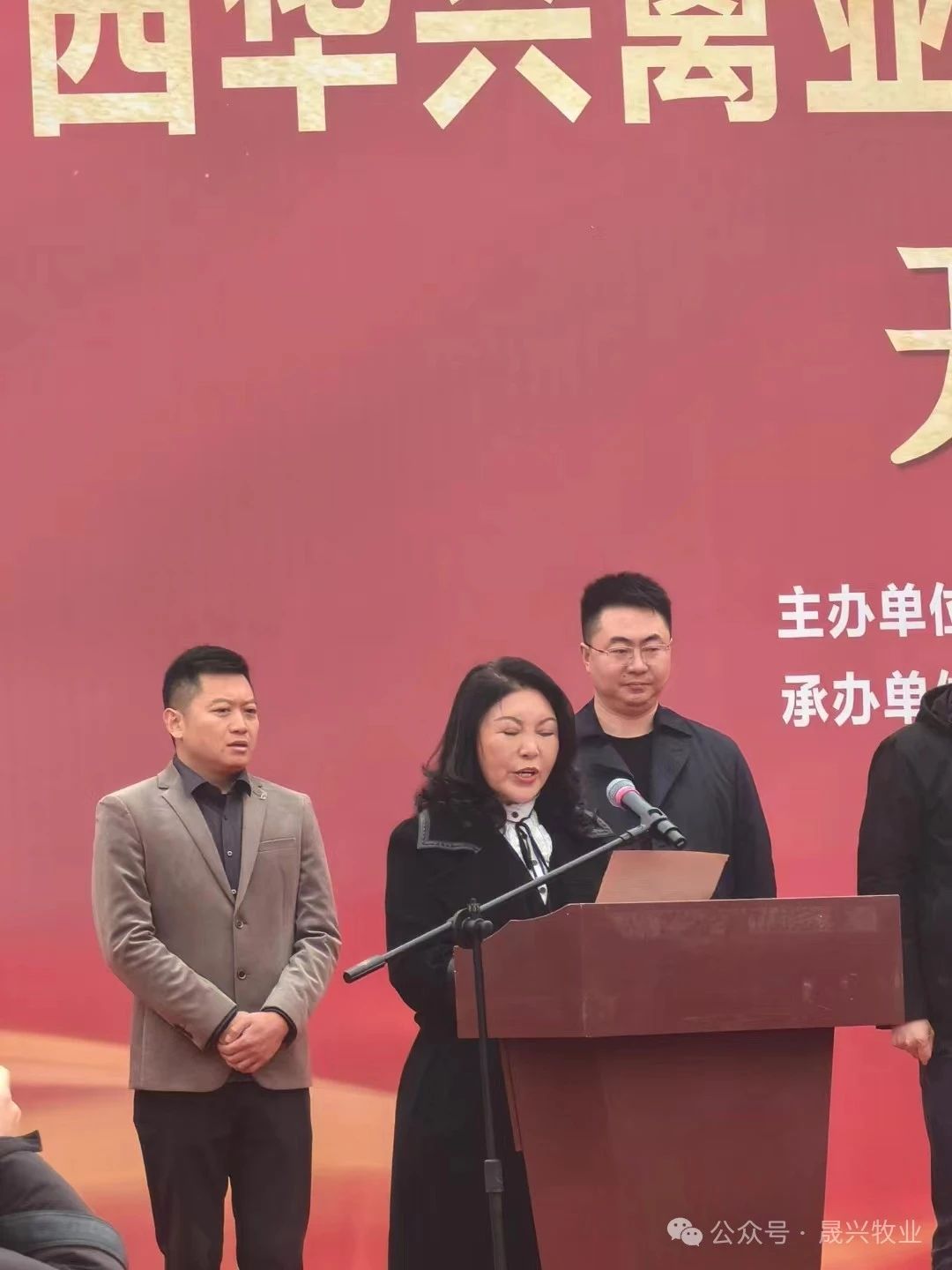 养鸡装备