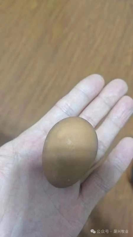 腾博会·诚信为本,专业效劳_官方网站