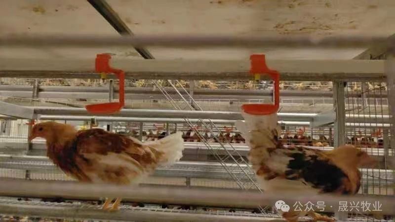 腾博会·诚信为本,专业效劳_官方网站