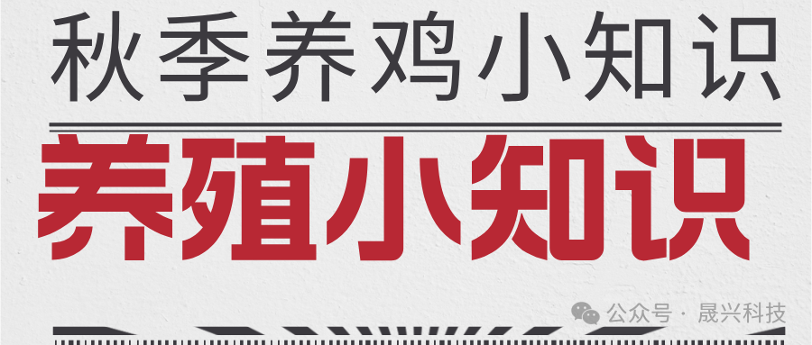 养鸡装备