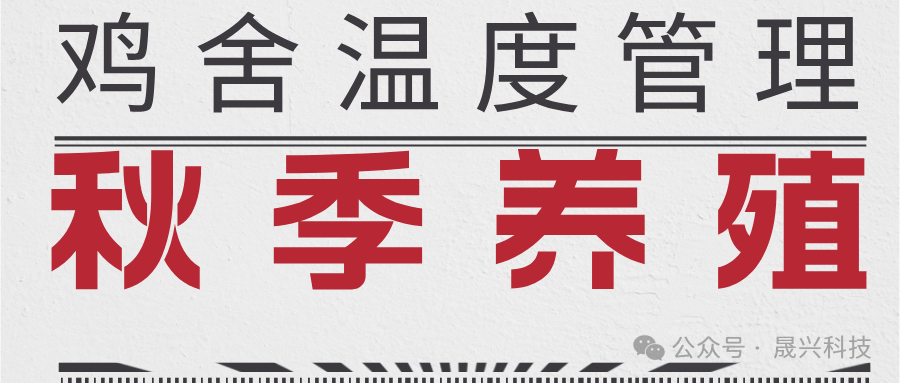 养鸡装备