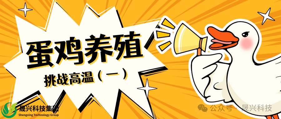 腾博会·诚信为本,专业效劳_官方网站