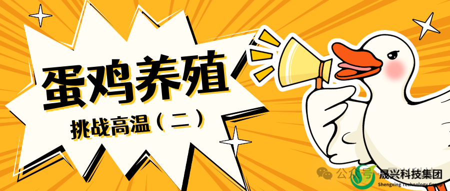 腾博会·诚信为本,专业效劳_官方网站