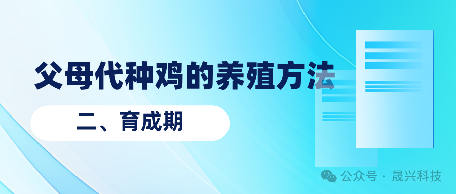 养鸡装备