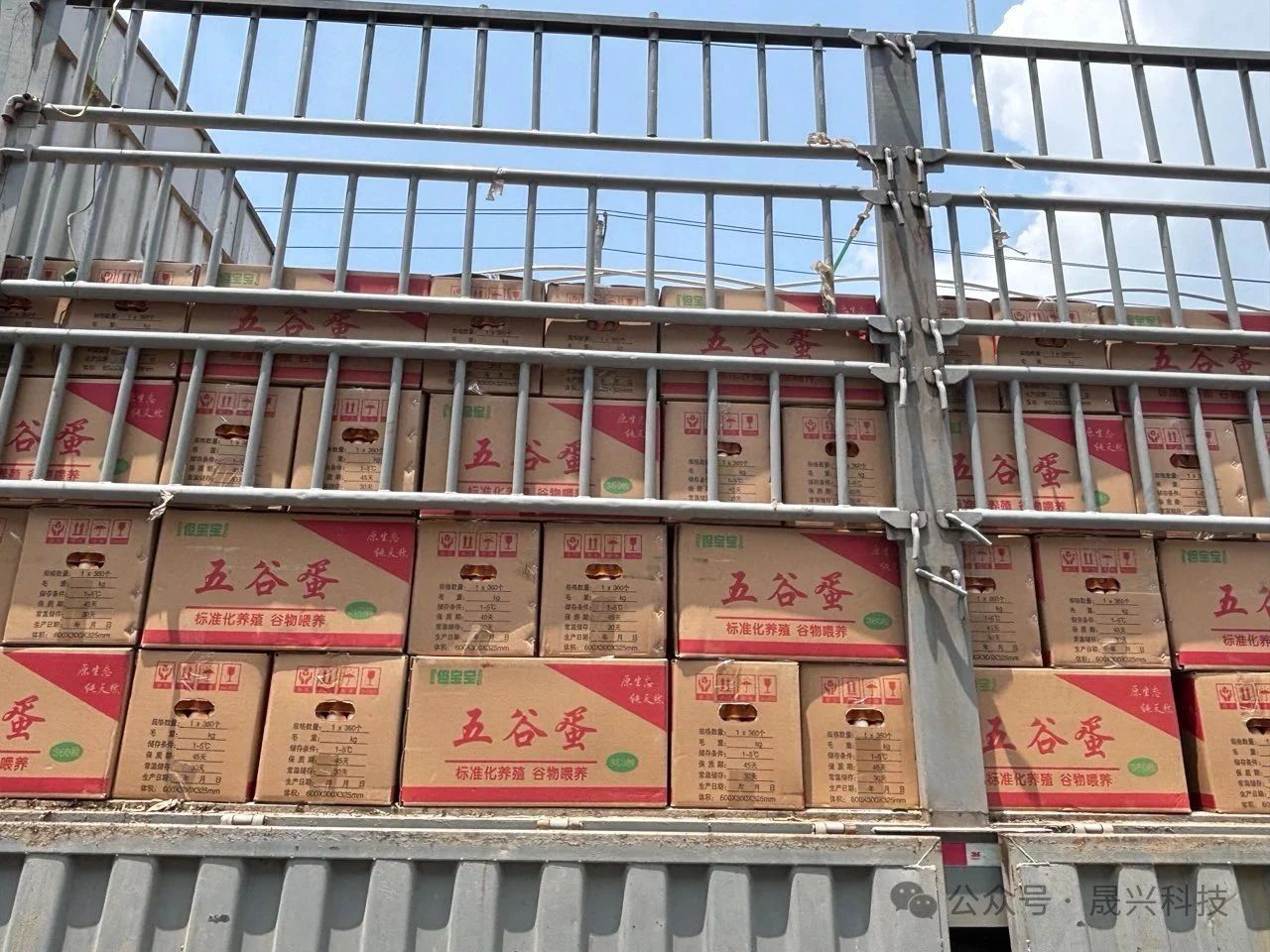 养鸡装备
